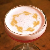 Campari Sour Detail