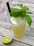 Gin Gin Mule Gin Gin Mule