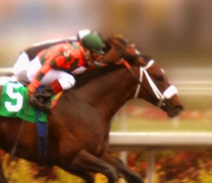 Horses and Jockeys