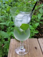 Mojito