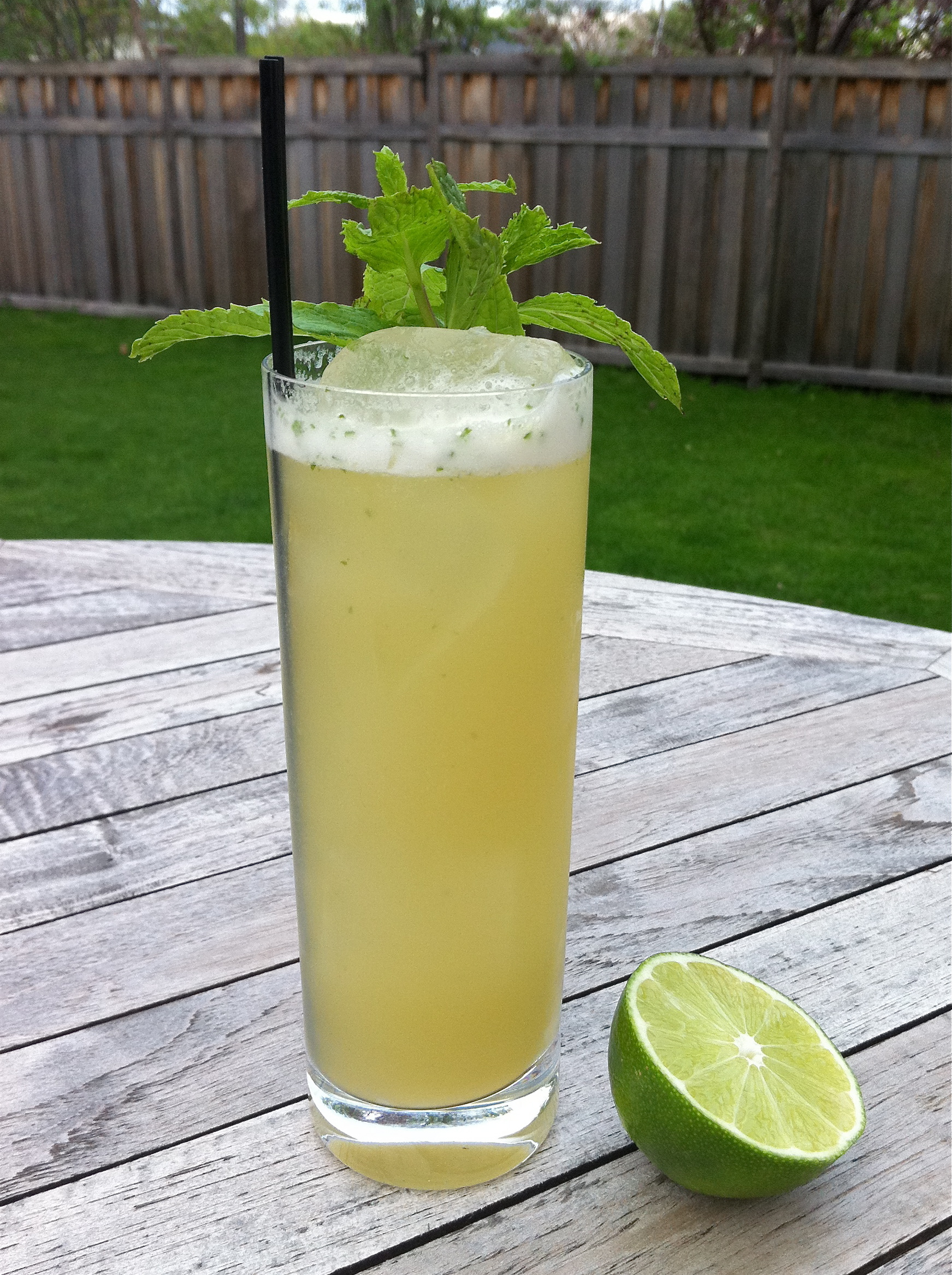 Gin Gin Mule Summit Sips