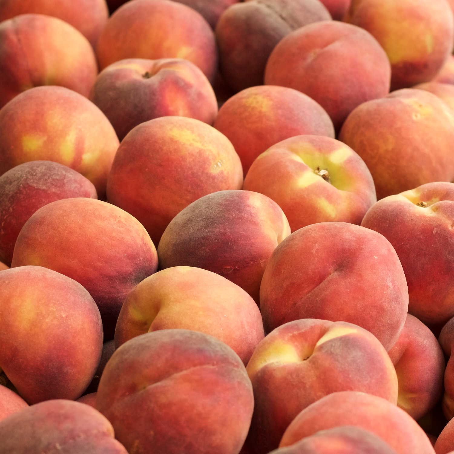 Peach Pit – Summit Sips