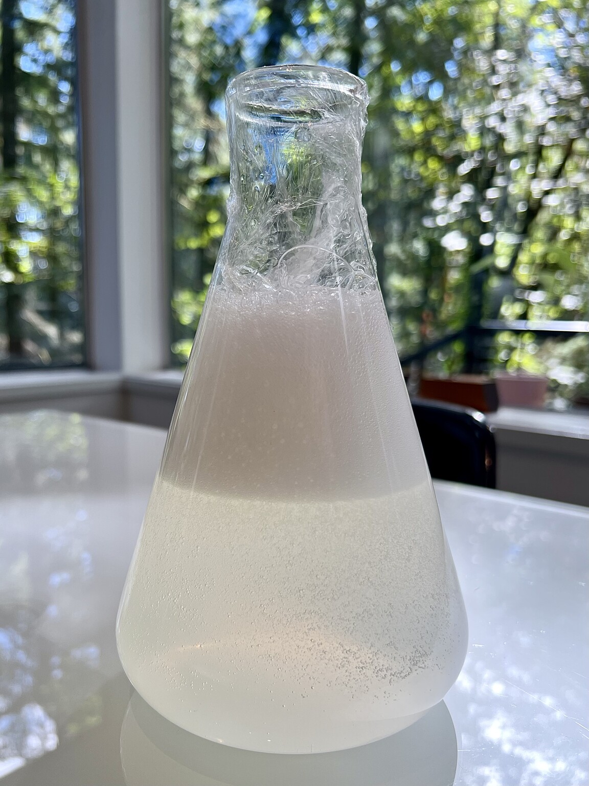 How to make Vegan Egg Whites Summit Sips